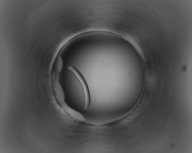 X0000091721004200708241345