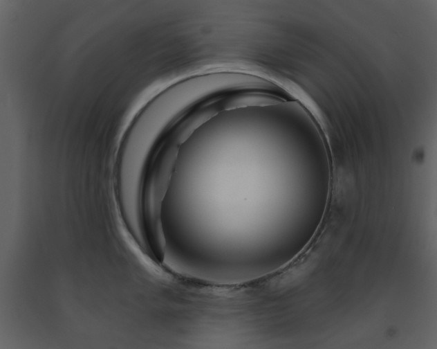 X0000091721005200708241345