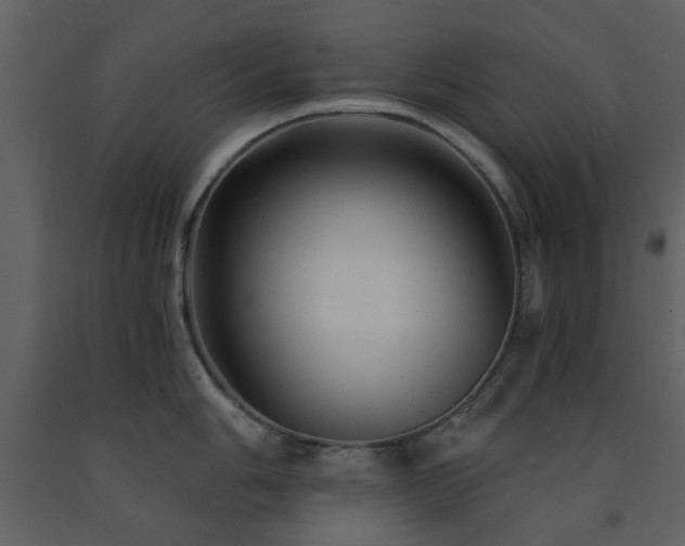 X0000091721006200708241345