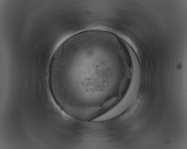 X0000091721007200708241345