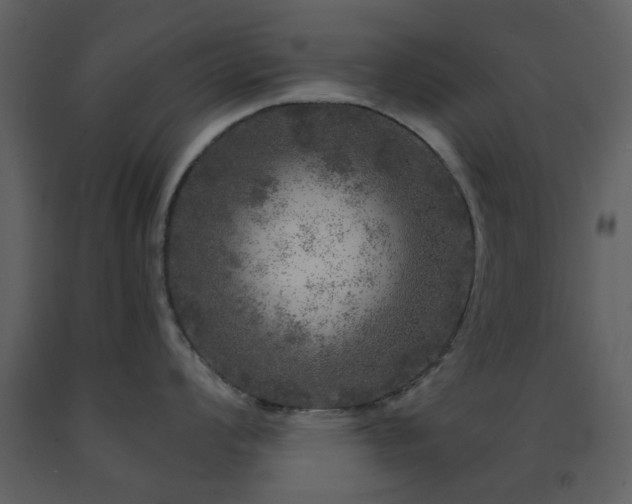 X0000091721008200708241345