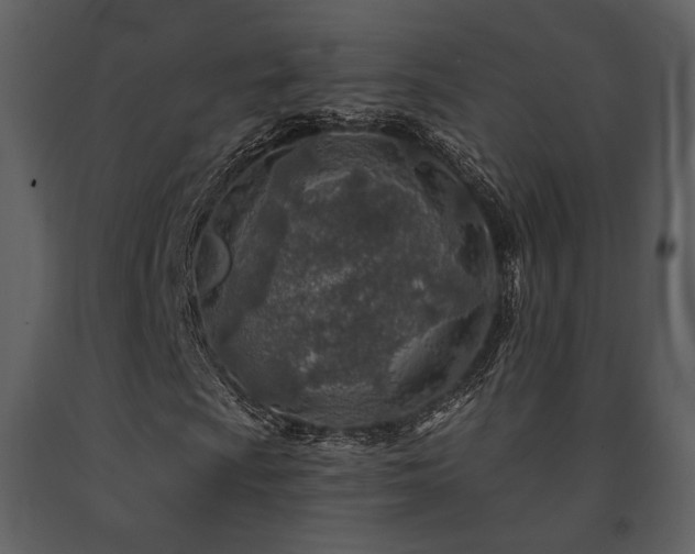 X0000091721009200708241344