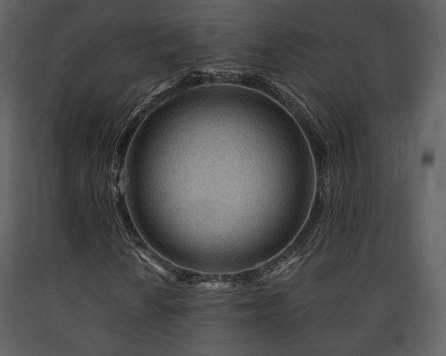 X0000091721010200708241344