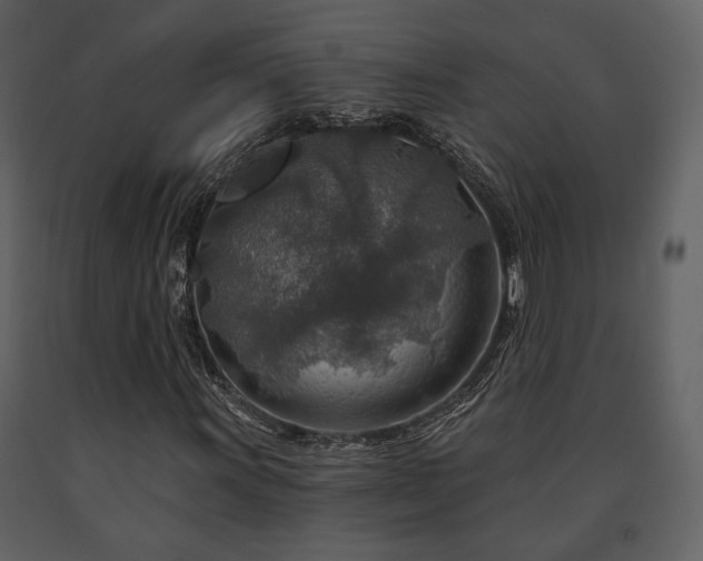 X0000091721011200708241344
