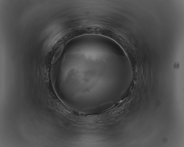 X0000091721013200708241344