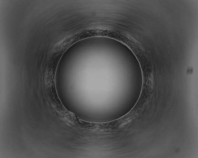 X0000091721014200708241344