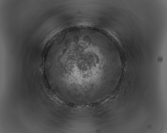 X0000091721015200708241344