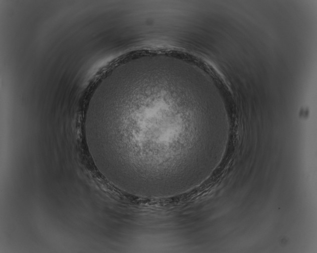 X0000091721016200708241344
