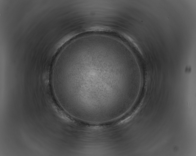 X0000091721017200708241344