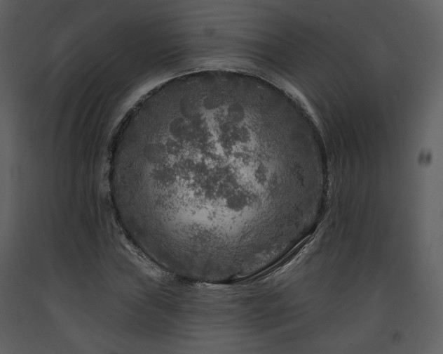 X0000091721019200708241344