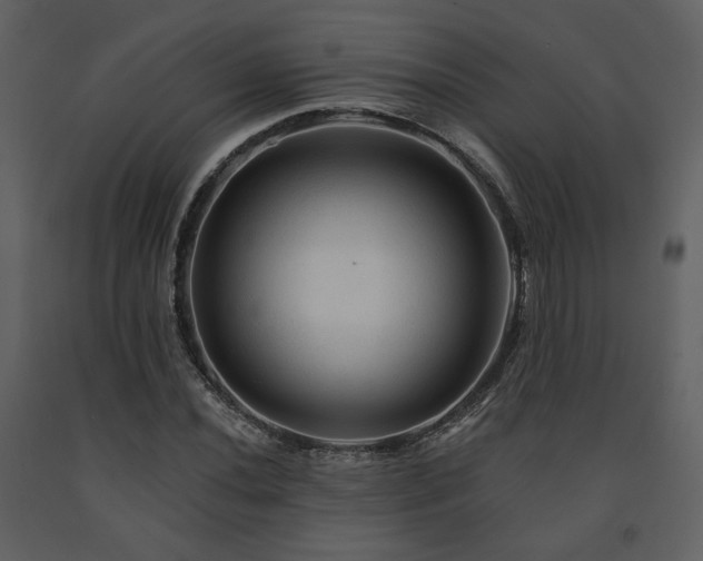 X0000091721020200708241344