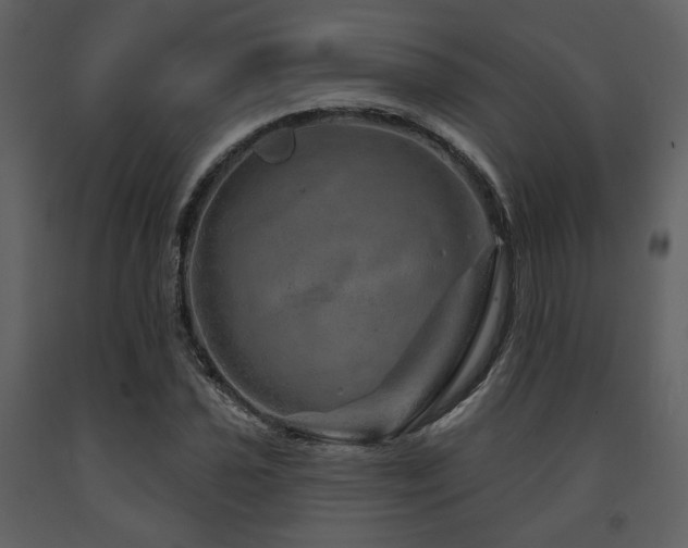 X0000091721021200708241344