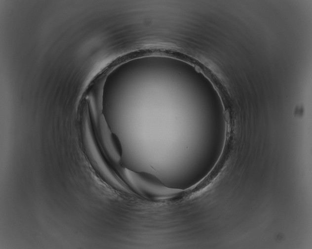 X0000091721022200708241344
