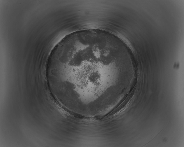 X0000091721023200708241344