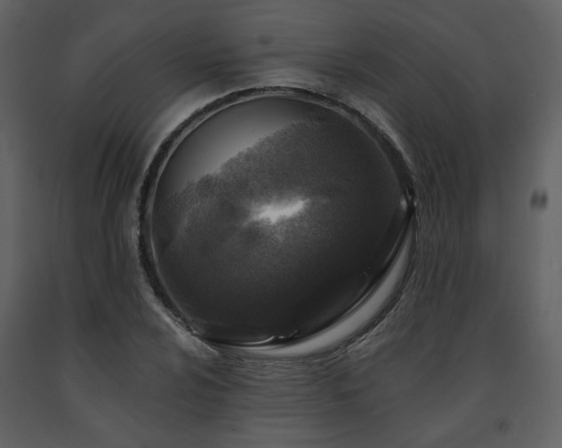 X0000091721024200708241344
