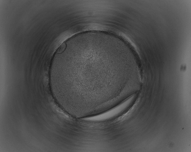 X0000091721025200708241344