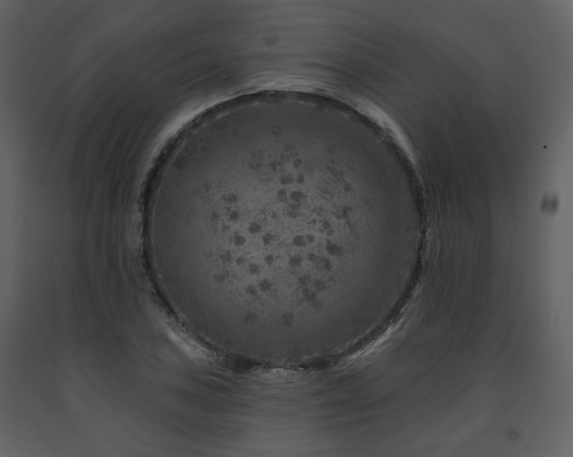 X0000091721027200708241344