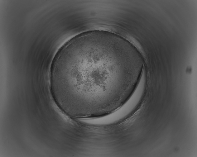 X0000091721028200708241344