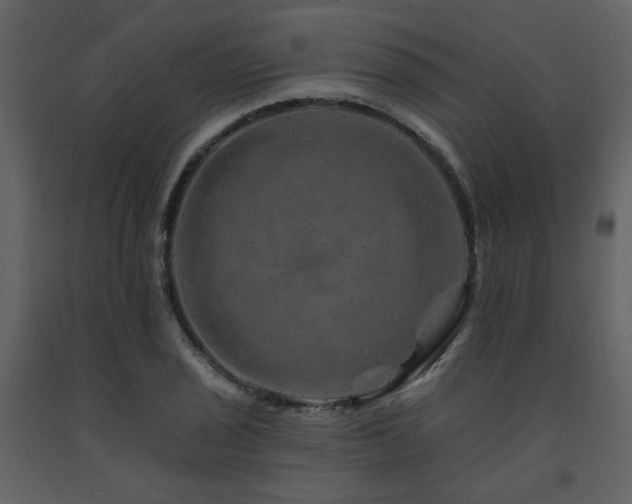 X0000091721029200708241344