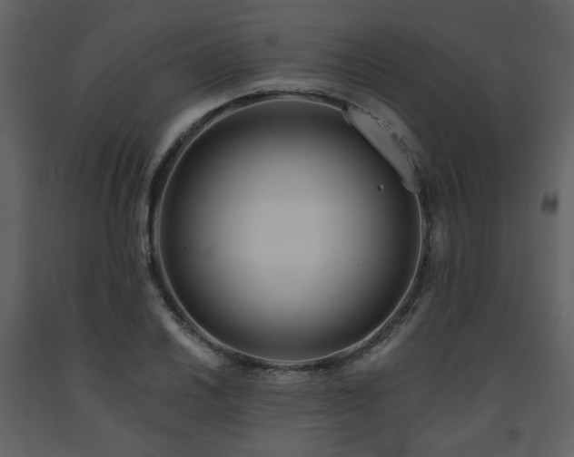 X0000091721030200708241344