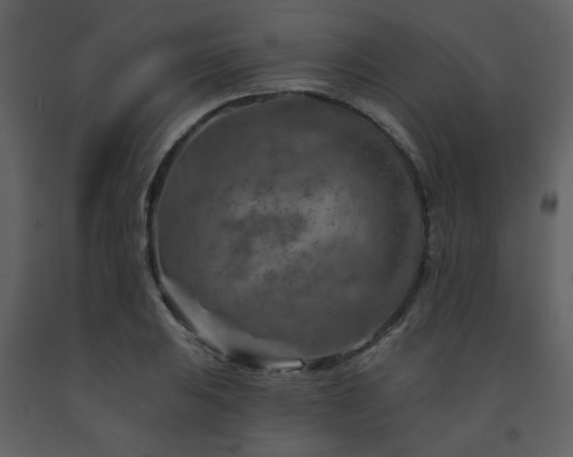 X0000091721031200708241344