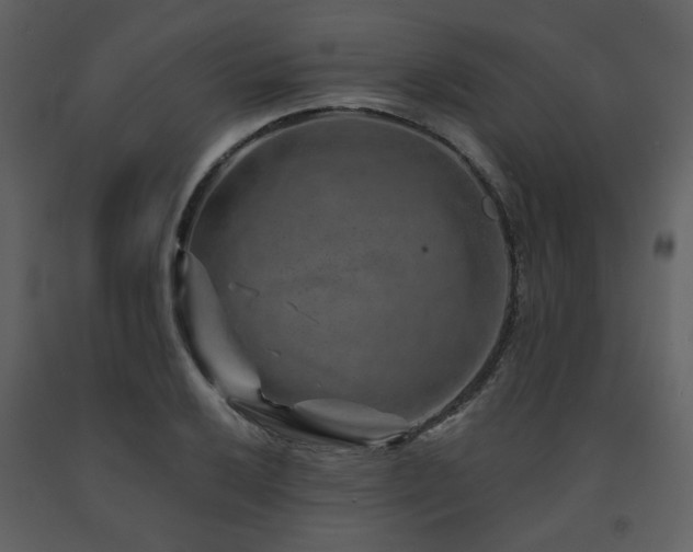 X0000091721032200708241345