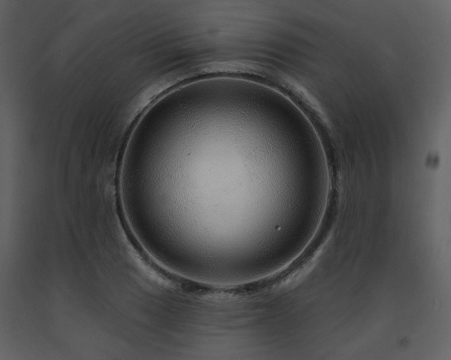X0000091721033200708241345