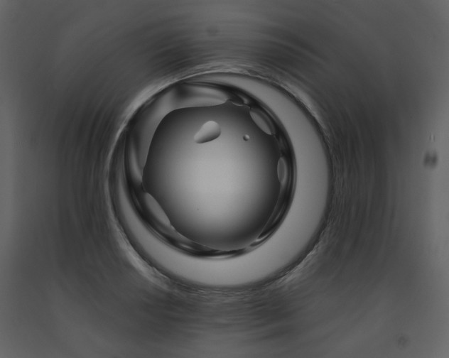 X0000091721034200708241345
