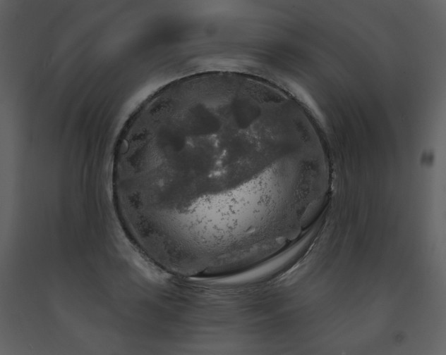 X0000091721035200708241345
