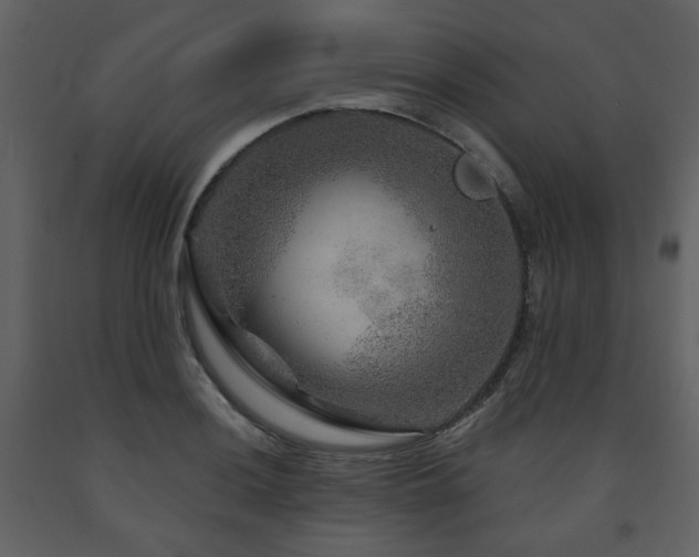 X0000091721036200708241345