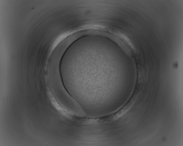 X0000091721038200708241345