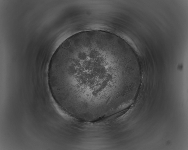 X0000091721039200708241345