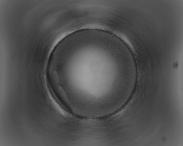 X0000091721040200708241345