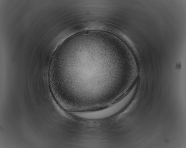 X0000091721041200708241345