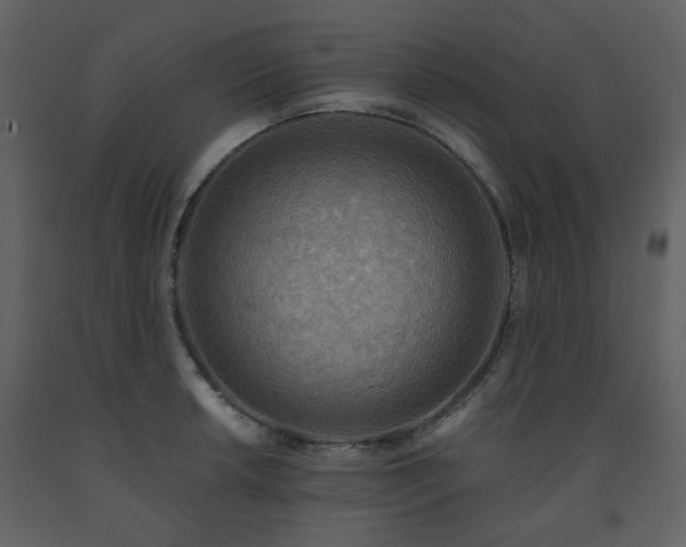 X0000091721042200708241345