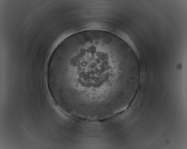 X0000091721043200708241345