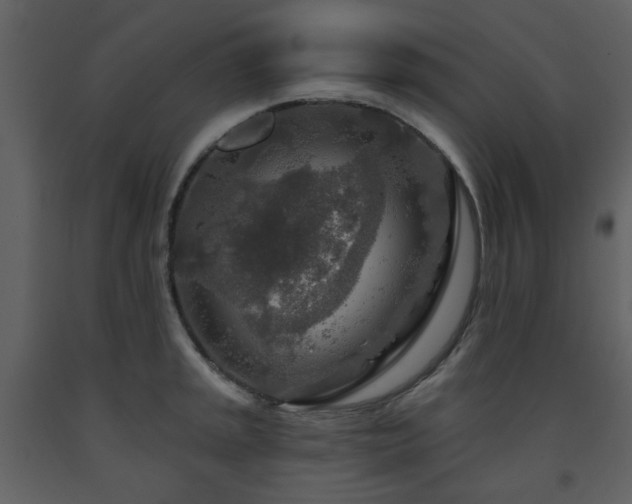 X0000091721045200708241345