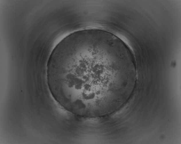 X0000091721047200708241345