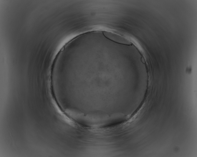 X0000091721048200708241345