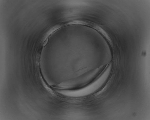 X0000091721049200708241345