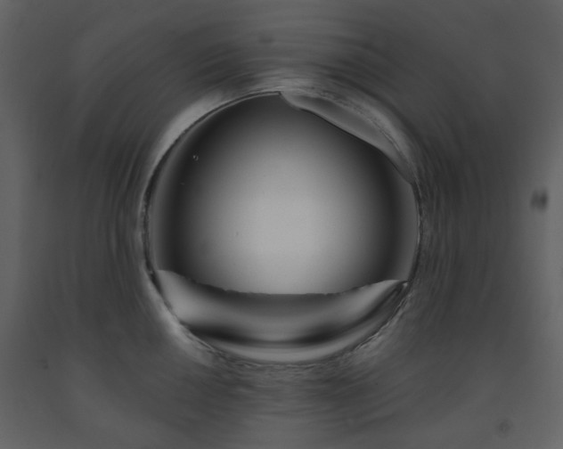 X0000091721050200708241345