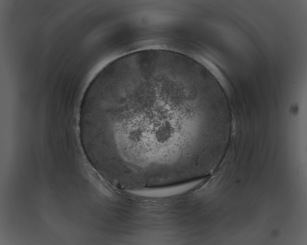 X0000091721051200708241345