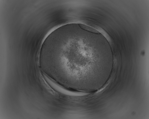 X0000091721052200708241345