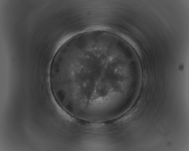 X0000091721055200708241345