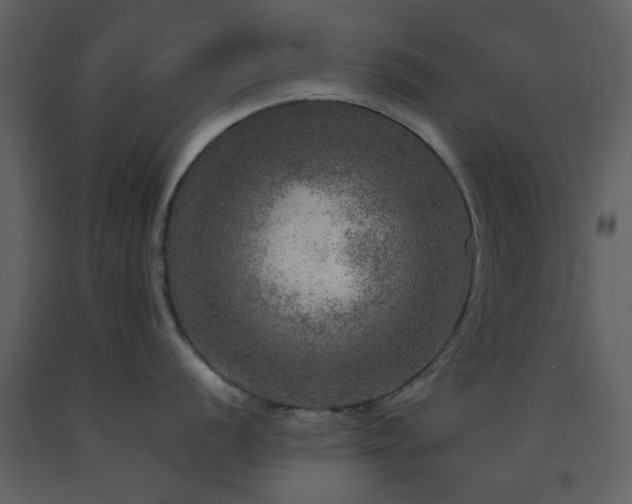 X0000091721056200708241345