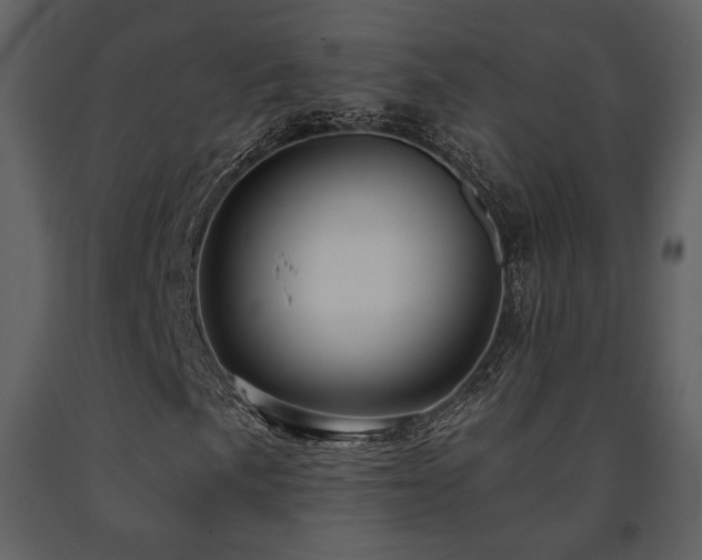X0000091721057200708241344