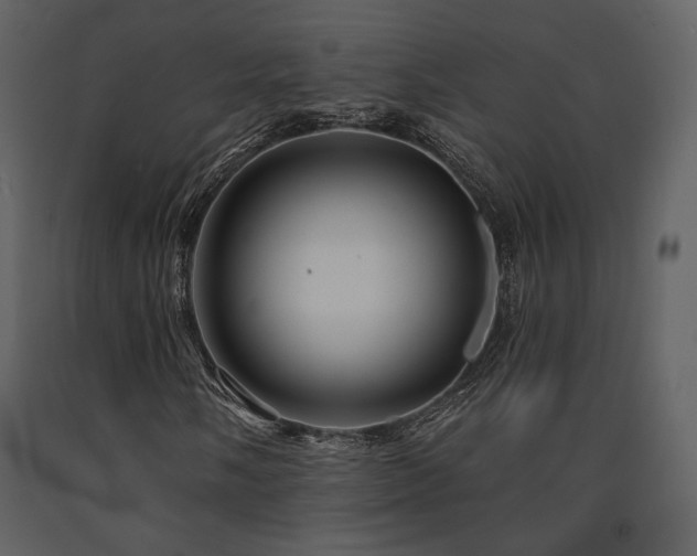 X0000091721058200708241344