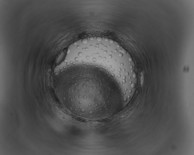 X0000091721059200708241344