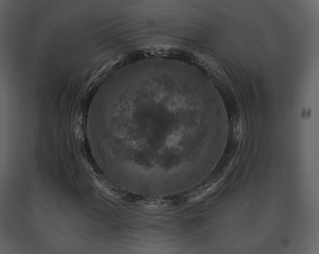 X0000091721060200708241344