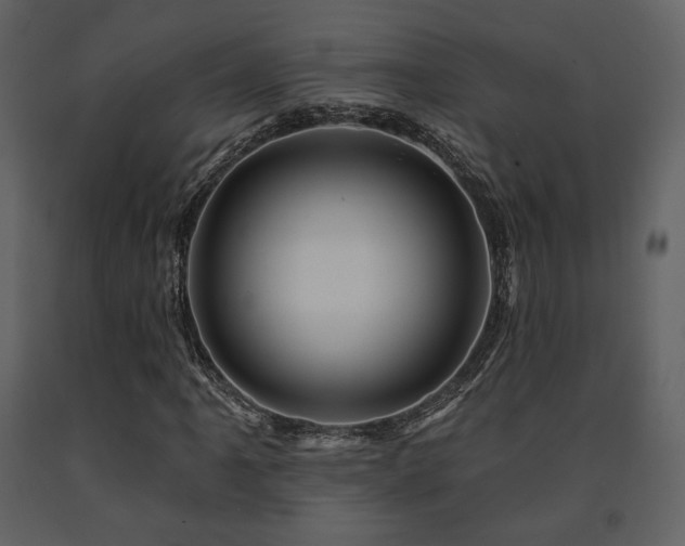 X0000091721061200708241344